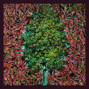 Scenery & Circumstance