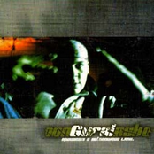 Opowieści z betonowego lasu