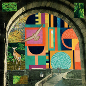 Resume Normal Activities