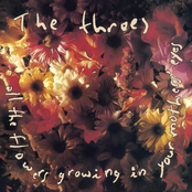 The Throes: All The Flowers Growing In Your Mother's Eyes (Deluxe)