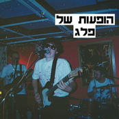 הופעות של פלג