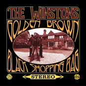 Golden Brown / Black Shopping Bag