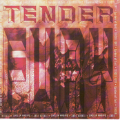 Does It Still Live Here by Tender Fury