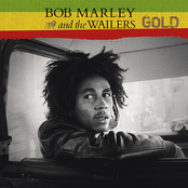 I Made A Mistake by Bob Marley & The Wailers