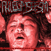 The fascinating process of human decomposition (demo)