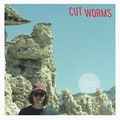 Cut Worms: Song of the Highest Tower