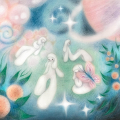 Phoebe Rings: Aseurai