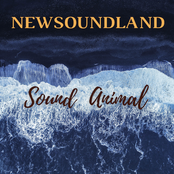 NewSoundLand