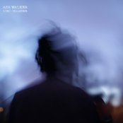 Bongo Legs by Ash Walker