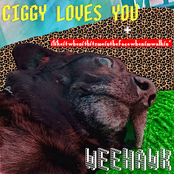 Ciggy Loves You