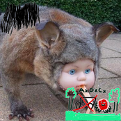 Lycoperdon Picholas Perlatum / AxOxCx