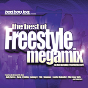 the best of freestyle megamix