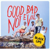 Good Bad Not Evil