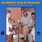 You Missed A Good Man by Robert Nighthawk