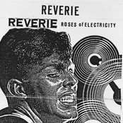 Roses of Electricity