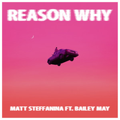 Matt Steffanina: Reason Why