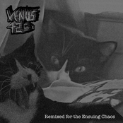 Remixed for the Ensuing Chaos