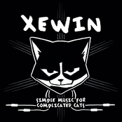 simple music for complicated cats