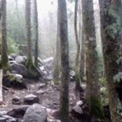 you're not easy on yourself