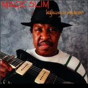 The Sky Is Crying by Magic Slim