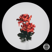 All I Wanna Do - Single