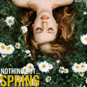 Nothing But… Spring