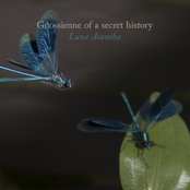 Gnossienne of a secret history