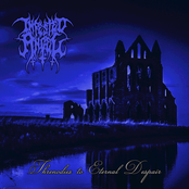 Threnodies To Eternal Despair [Explicit]