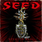 Seed