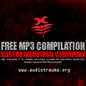 Audiotrauma Compilation