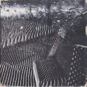 Cinco de Mayo in Space