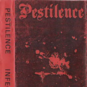 Liquidation by Pestilence