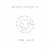 Lion|Lamb