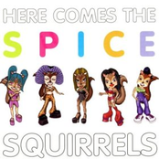 spice squirrels