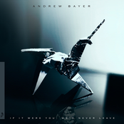 All This Will Happen Again by Andrew Bayer