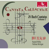J.S. Bach: Cantatas, Vol. 2