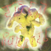 twin rabbits - Single