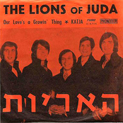 The Lions Of Juda