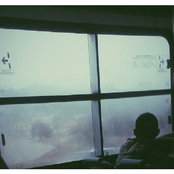 for the first time, look at the flowers