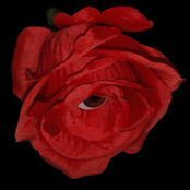 feb21