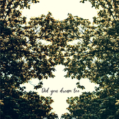 Did you dream too