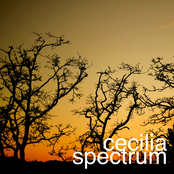 cecilia spectrum