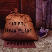 Blues Dance by 10 Ft. Ganja Plant