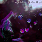 Wren Lloyd/Age Sixteen Split