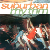 18 Inch Ruler by Suburban Rhythm