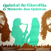 O Misterio Dos Quintais