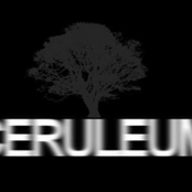 ceruleum