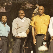 willie dixon & the chicago allstars