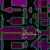 not human (lost tracks and rarities)