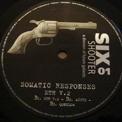 Neotek by Somatic Responses